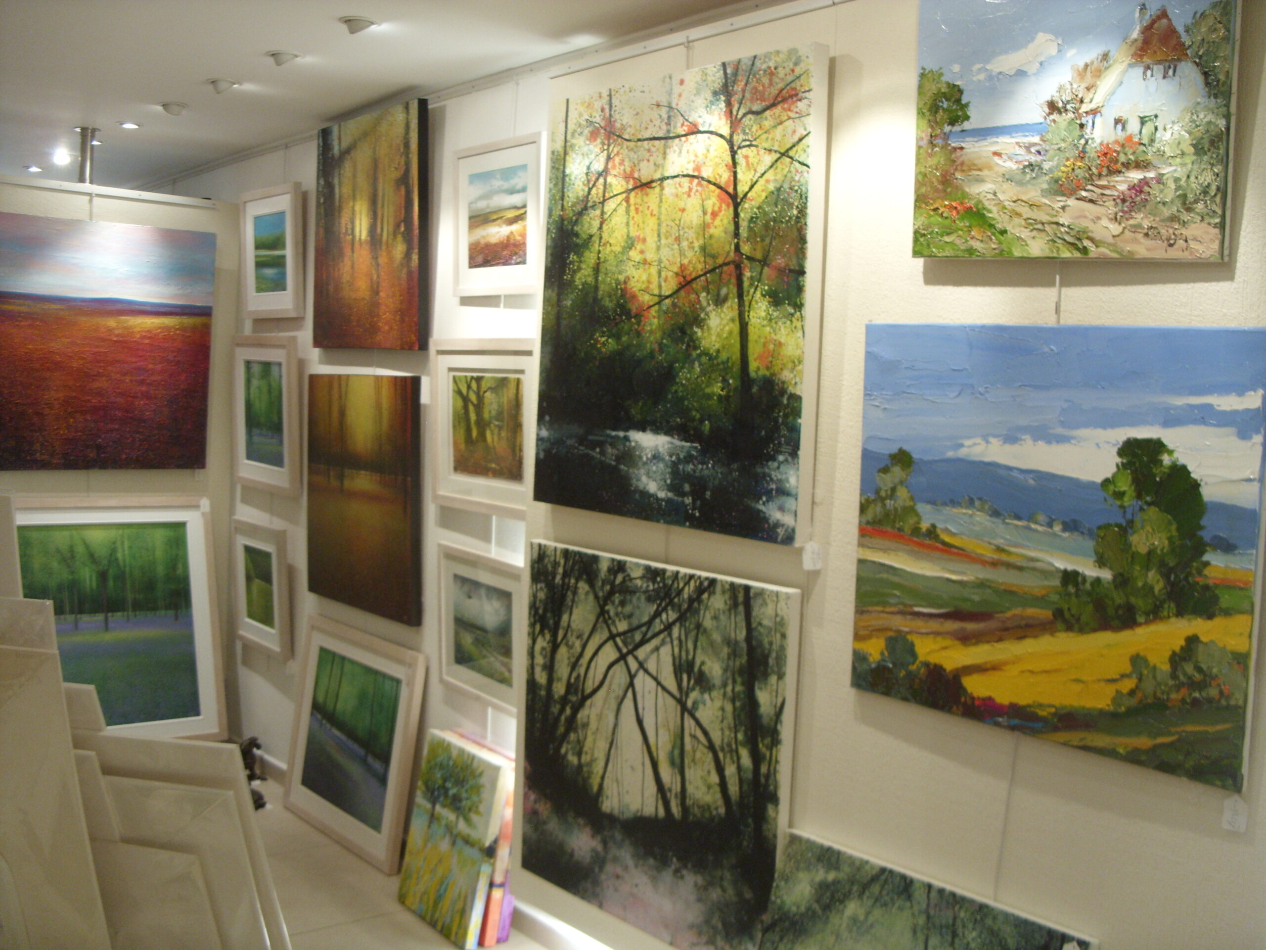 Land Sea Sky Exhibition At Nnw Bramley Set Up Photos No Naked Walls