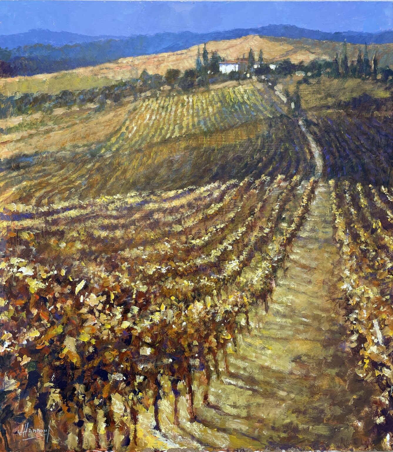 John Hammond On The Vine Chianti Sunny Vineyard Landscape No Naked