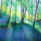 John Connolly Springtime Bluebells spring forest painting for sale