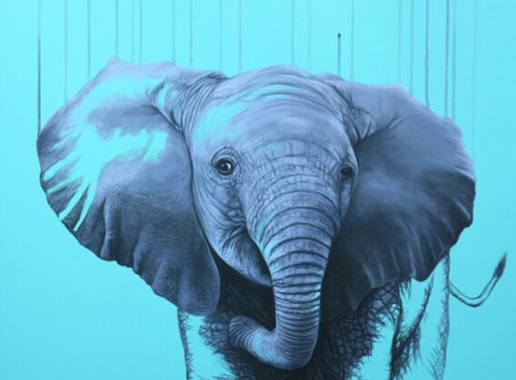 Louise McNaught You Are A Star (unframed) blue elephant art print for sale