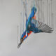 Fire & Water Louise McNaught unframed Dynamic Bird Artwork