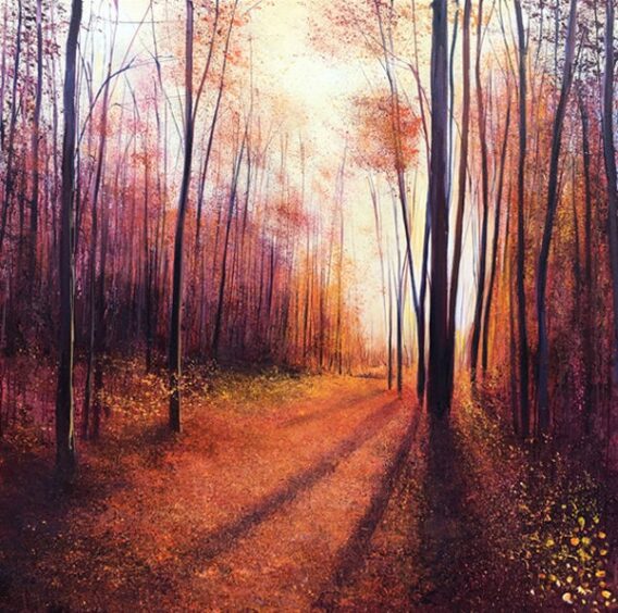 John Connolly Autumn Shadows woodland painting for sale