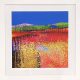 Elaine Coles Spring Is Spring framed colourful abstract meadow