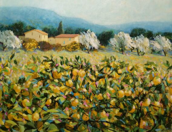 Hazel Barker Lemon Trees Tuscany rural italian art for sale