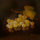 Ronald Berger Bunch of Grapes still life painting original traditional realistic oil painting of green grapes on vine