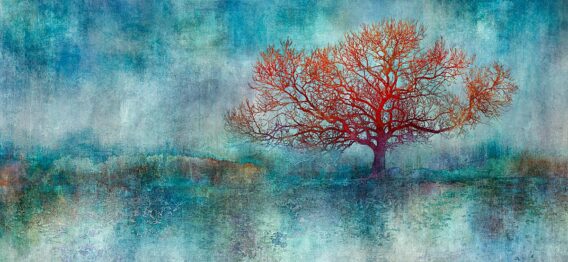 MMP 122 Bathed in Light N50.8970 W0.1910 PANO artwork large-scale teal turquoise blue and red landscape artwork on aluminium with tree detail in modern style