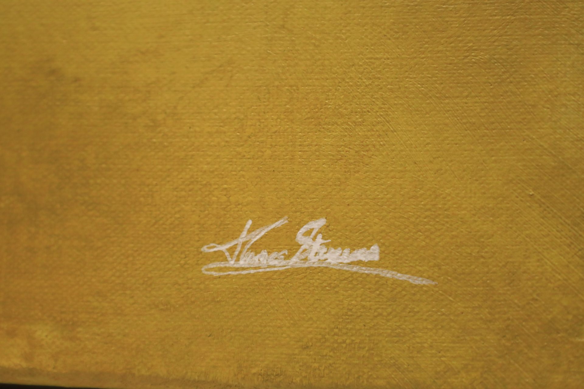 James Stevens Ayrton Senna 97T Lotus art - No Naked Walls