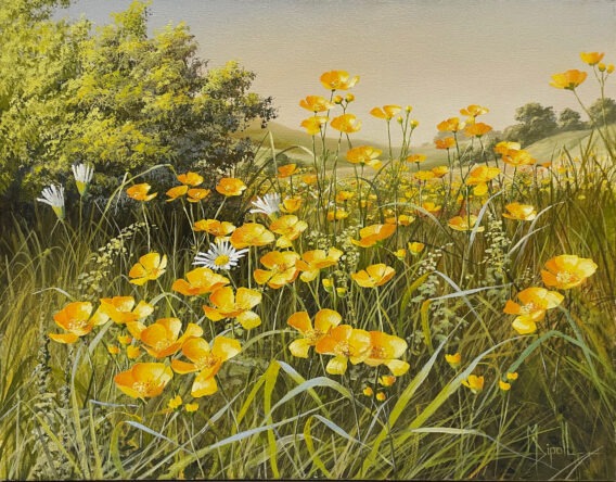 Gold meadow mary dipnall