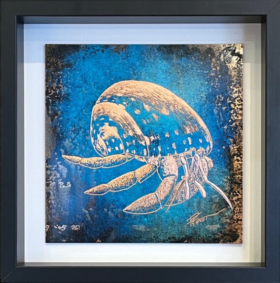 Hermit crab I Paul Fearn framed large