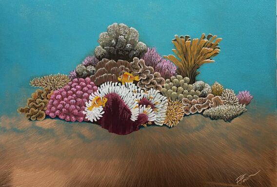 Clownfish Island Paul Fearn