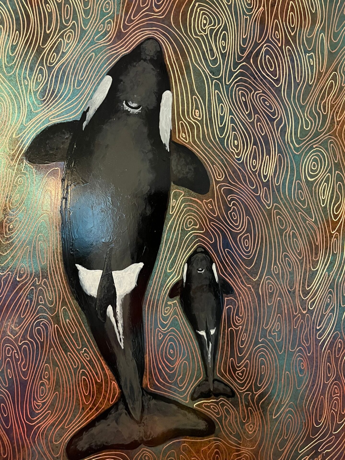 Orcas Paul Fearn