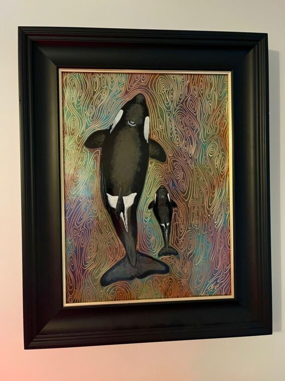 Orcas framed