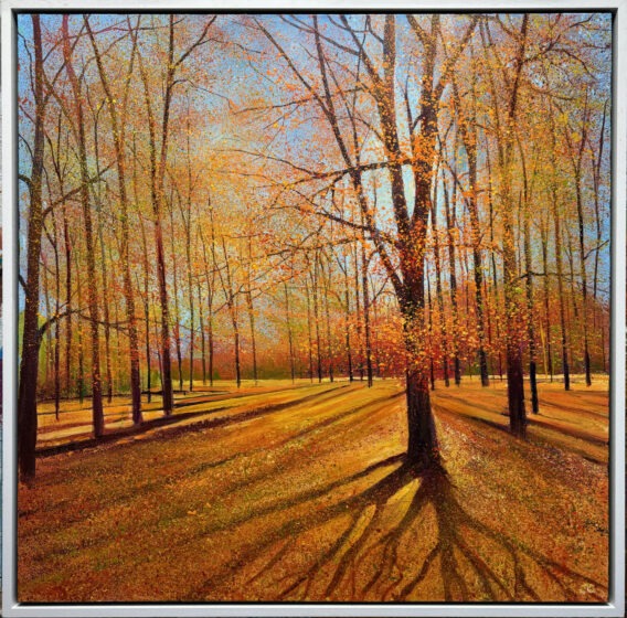 Strong Autumn Light painting of trees by John Connolly