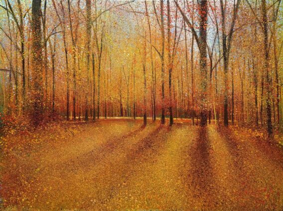 Autumn Light unframed Connolly