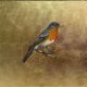 William Morris inspired Robin Roz Wilson Unframed