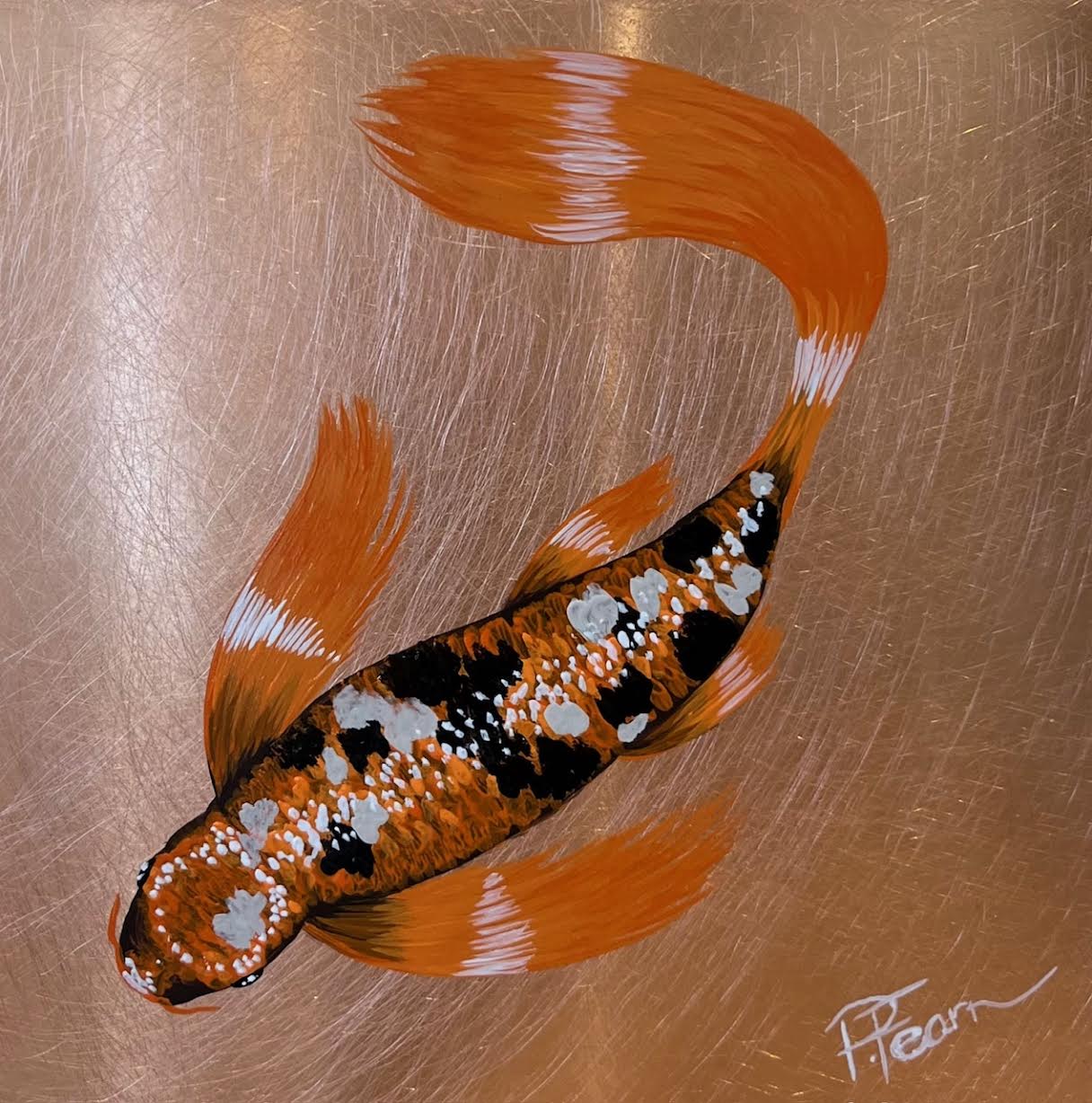 orange_white_black_koi_paul_fearn