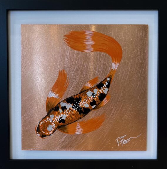 orange_white_black_koi_paul_fearn_framed