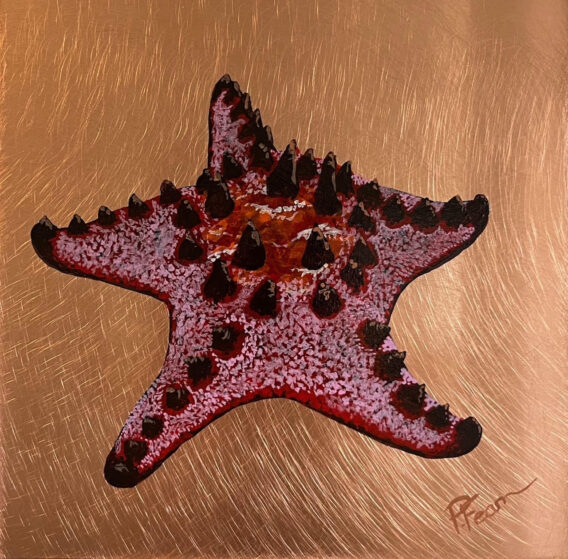 ChocolateChip Starfish Paul Fearn