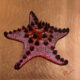 ChocolateChip Starfish Paul Fearn