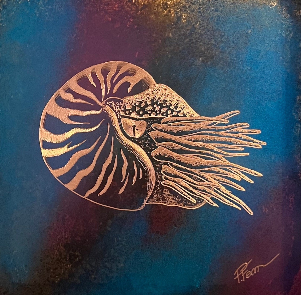 paul fearn Nautilus