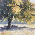 Sunshine and shadows John Hammond