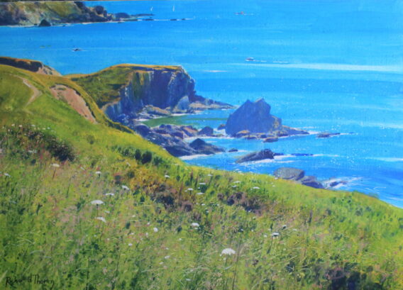Summer on the cliffs (Thurlstone)