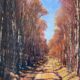 Autumn Walk 40x50 John Hammond