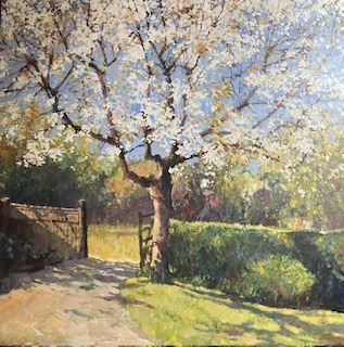 blossom- John Hammond