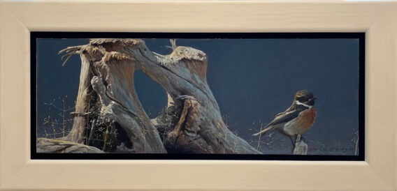 Karl Taylor Stonechat on Driftwood framed